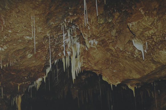 Sinterröhrchen und Stalagtiten